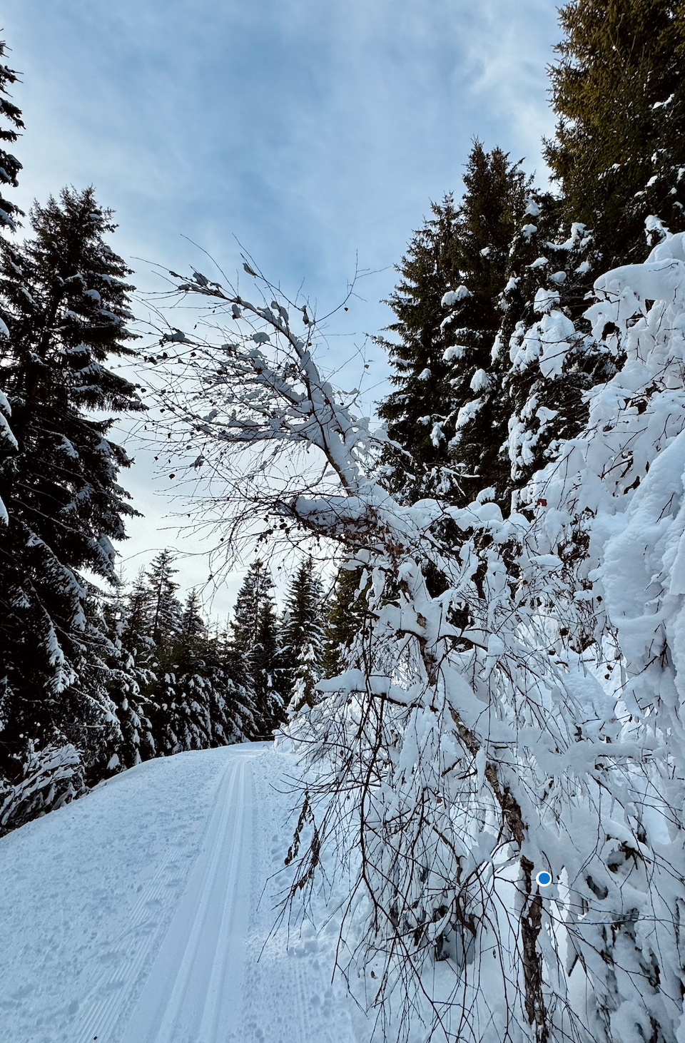 Schneeschuhwanderwochen in der Silberregion Karwendel